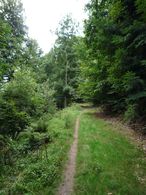 TMV-Trail